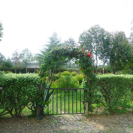 Triple Eden Resort - Naivasha Buitenkant foto