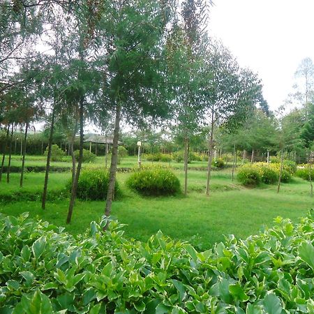 Triple Eden Resort - Naivasha Buitenkant foto
